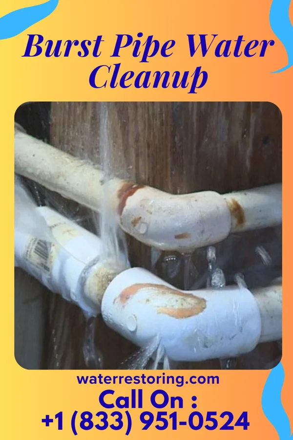 Burst Pipe Water Cleanup in Kirkpatrick, OR